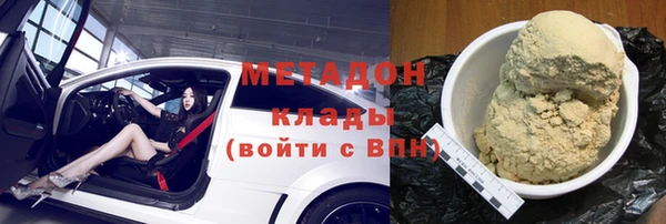 прущие грибы Осинники