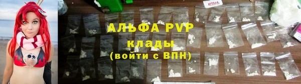 прущие грибы Осинники
