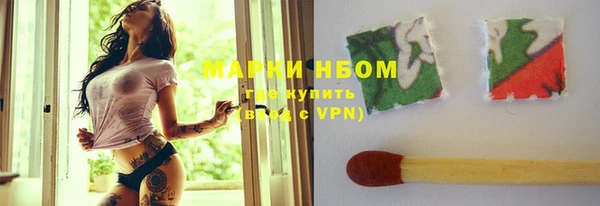 прущие грибы Осинники