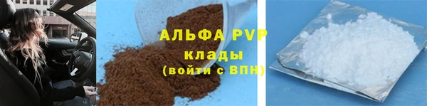 прущие грибы Осинники