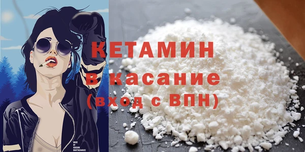прущие грибы Осинники