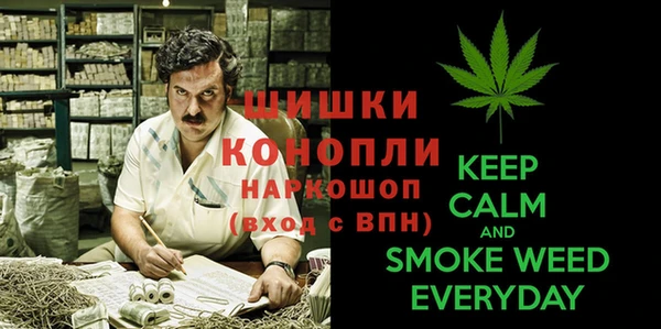 прущие грибы Осинники
