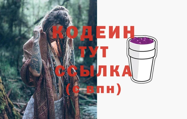 прущие грибы Осинники