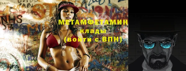 прущие грибы Осинники