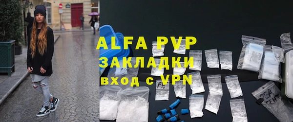 прущие грибы Осинники