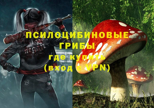 Альфа ПВП Остров
